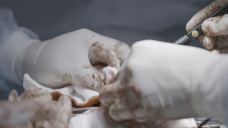 Similar image 22326014