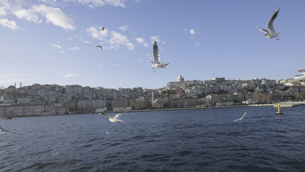 Similar image 22326016