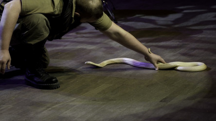 Similar image 22327749