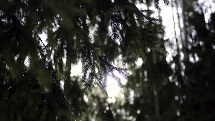 Similar image 22327751