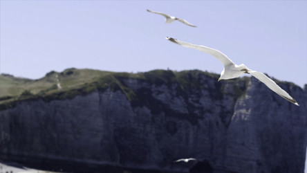 Similar image 22328228