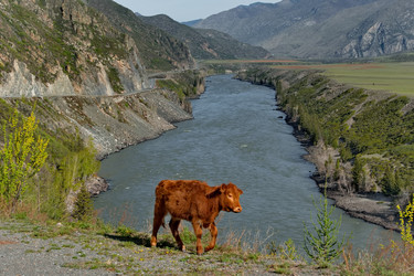 Similar image 22291848