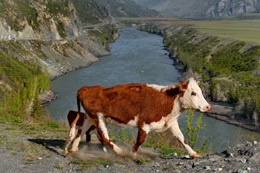 Similar image 22291850