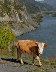 Similar image 22291851