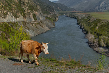 Similar image 22291852