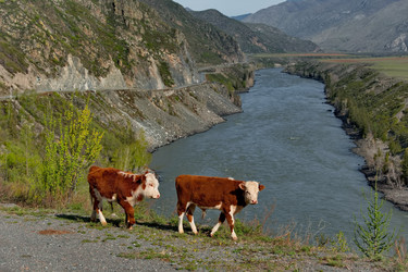 Similar image 22291853