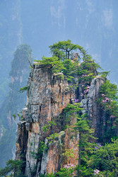 Similar image 22313317