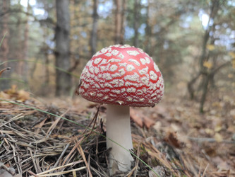 Similar image 22294216