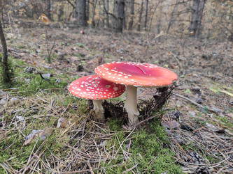 Similar image 22296295