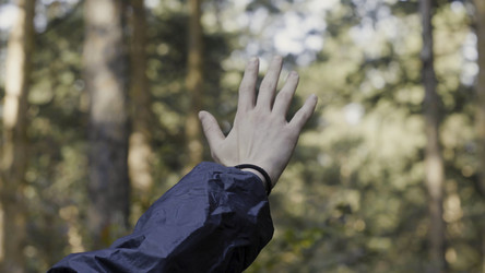 Similar image 22296426