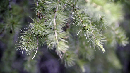 Similar image 22296455