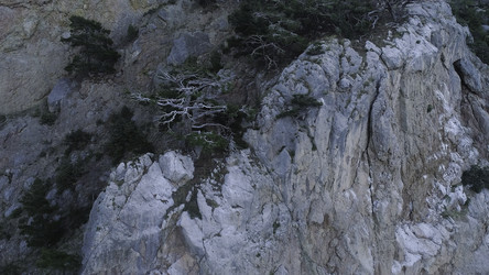 Similar image 22296458