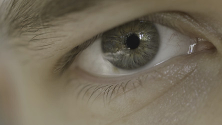 Similar image 22296462