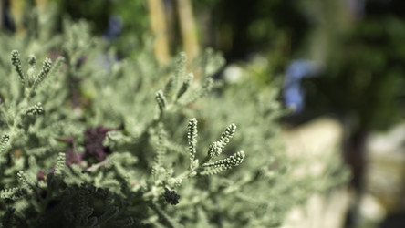 Similar image 22315640