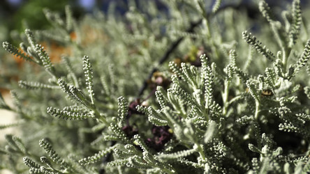 Similar image 22326018