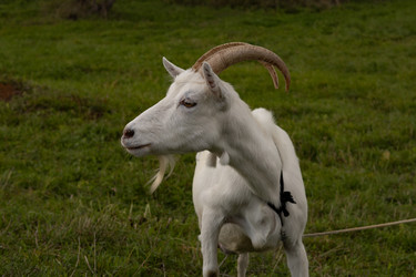 Similar image 22294960