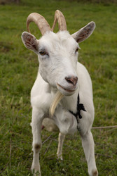 Similar image 22294961