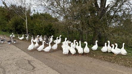 Similar image 22294963