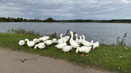 Similar image 22294964