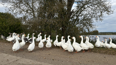 Similar image 22294965