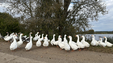 Similar image 22294966