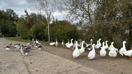 Similar image 22294967