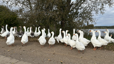 Similar image 22294968