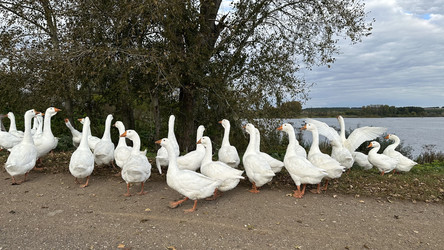 Similar image 22294970