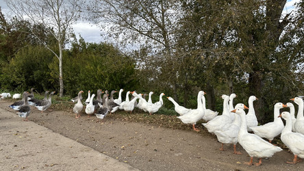 Similar image 22294971