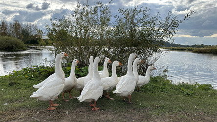 Similar image 22294974