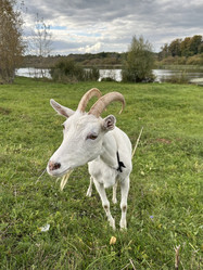 Similar image 22294975