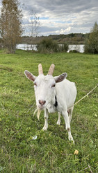 Similar image 22294976