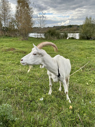 Similar image 22294977