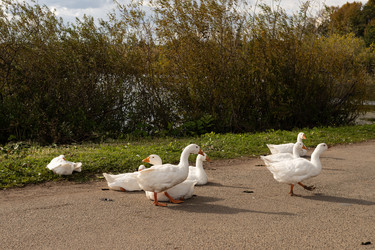 Similar image 22294978