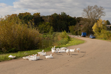 Similar image 22296286