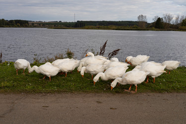 Similar image 22312608