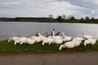 Similar image 22312610