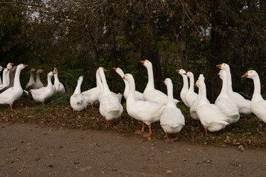 Similar image 22312611