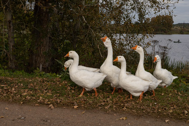 Similar image 22312612