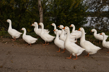 Similar image 22312614