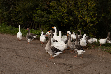 Similar image 22312615