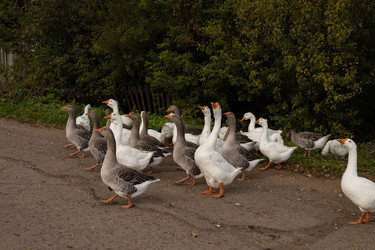 Similar image 22312616