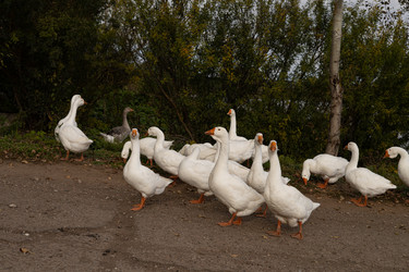 Similar image 22312617