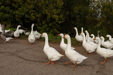 Similar image 22290639