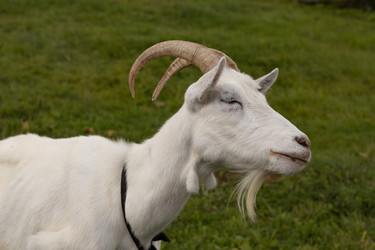 Similar image 22312618