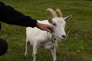 Similar image 22312619