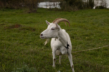 Similar image 22312620