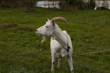 Similar image 22312621