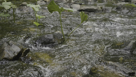 Similar image 22331469