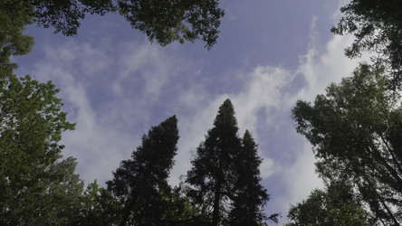 Similar image 22331471